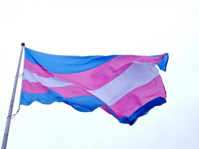 Trans flag