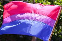 Photo of bi pride flag