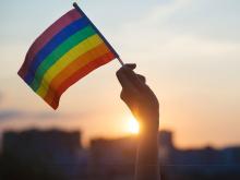 Image of a person waiving a small pride flag