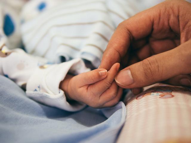 Photo of a baby and parent touching hands